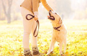 Woman Experiencing the Benefits of Pets While Walking Dog | www.vitacost.com/blog