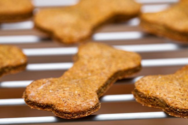 Warm, homemade pumpkin dog biscuits on cooling rack | Vitacost.com/Blog