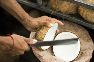 Using a machete to open a coconut