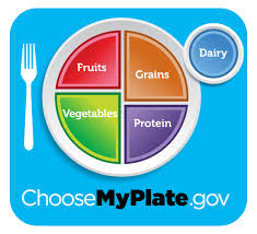 Visual Depiction of USDA MyPlate Visual Depiction of MyPlate Guidelines with 4 Sections of Plate and 1 Dairy Side | Vitacost.com/blog