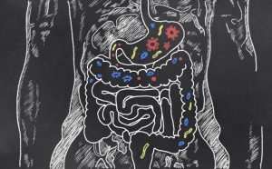 Chalk Drawing of the Body's Digestive System with Probiotics | Vitacost.com/blog