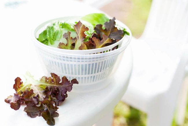 Fresh Greens Inside Salad Spinner | Vitacost.com/blog