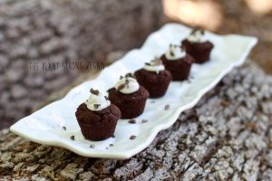 Vegan Brownies Bites Topped with Whipped Coconut Cream on White Plate on Tree Bark | Vitacost.com/blog
