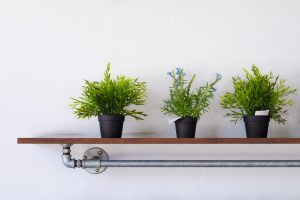 Indoor Container Herb Garden on Shelf | Vitacost.com/Blog