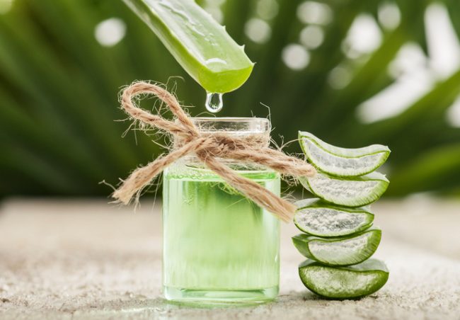 Upset Stomach? 3 Botanicals to Soothe Digestion Leaf Dripping Aloe Vera Extract into Jar to be Taken as Natural Digestive Aid | Vitacost.com/blog