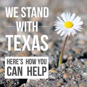 3 Ways to Donate to Hurricane Harvey Victims | Vitacost.com/blog
