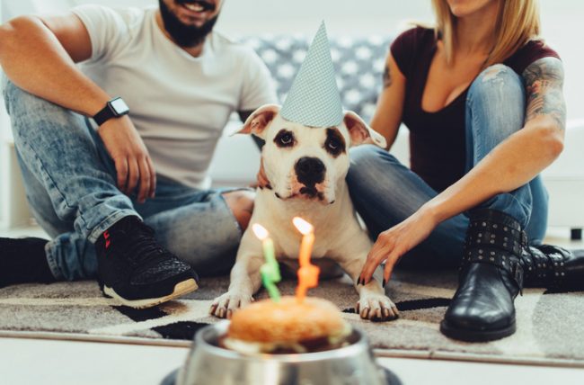 Couple Sitting on Floor With Dog Celebrating Birthday with Dog Cupcake | Vitacost.com/blog