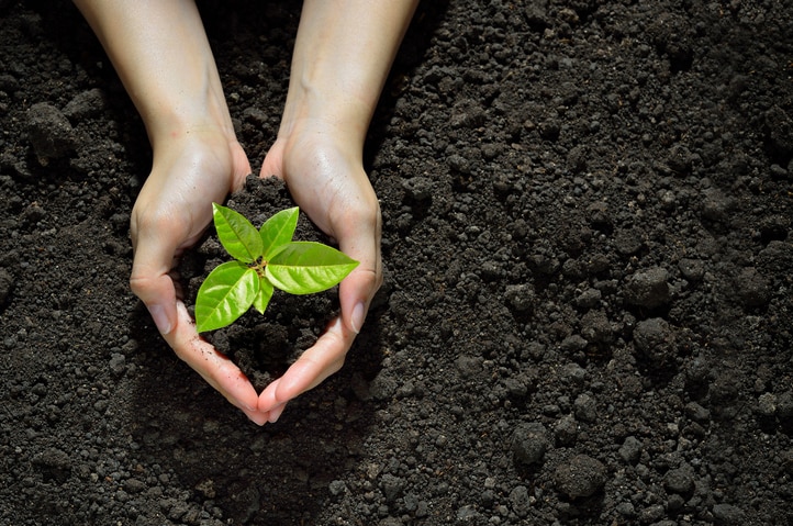 Regenerative Agriculture: What are the Benefits? Hands Cupping Sprouting Plant in Soil Improved by Regenerative Agriculture | Vitacost.com/blog