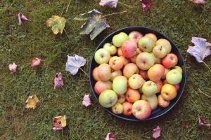 Apples in Basket from Apple Picking | Vitacost.com/Blog