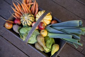 Here's Your Guide to the Fall Produce in This Basket - Carrots, Bok Choy, Squash & More | Vitacost.com/blog