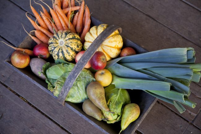 Fall Produce: A Guide to What’s in Season & How to Enjoy It