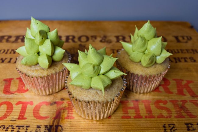 Succulent Cupcakes with Matcha Vegan Frosting Succulent Cupcakes with Matcha Vegan Frosting | Vitacost.com/blog
