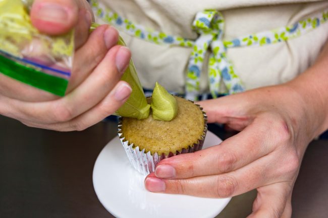 Frosting Succulent Cupcakes with Vegan Matcha Frosting Frosting Succulent Cupcakes with Vegan Matcha Frosting | Vitacost.com/blog