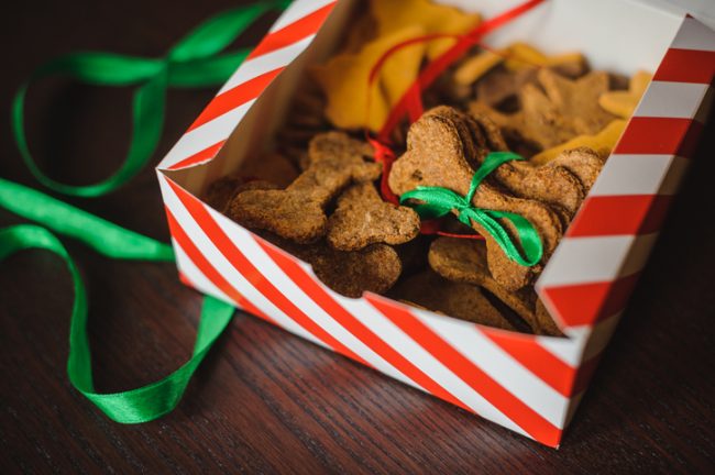 DIY Dog Treats in a Candy-Cane-Striped Gift Box | Vitacost.com/blog
