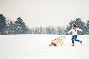 Woman in Cold Weather Walking Dog Along Snow-Covered Field | Vitacost.com/blog