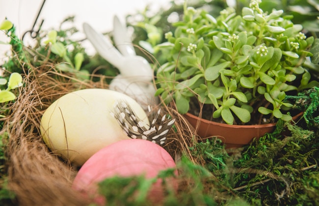 Colored Easter eggs in a nest