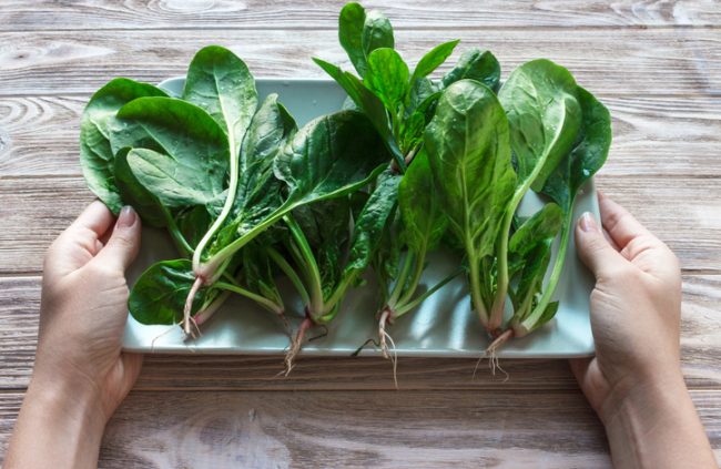 Hands Holding Small Platter of Lectin-Free Diet-Friendly Leafy Green Spinach on Wooden Table | Vitacost.com/blog