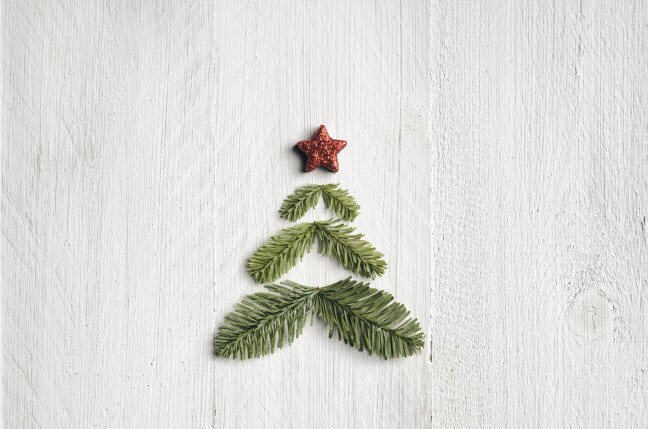 Minimalist Lifestyle Demonstrated by Tiny Christmas Tree Made of Three Sprigs and a Red Star on White Table | Vitacost.com/blog