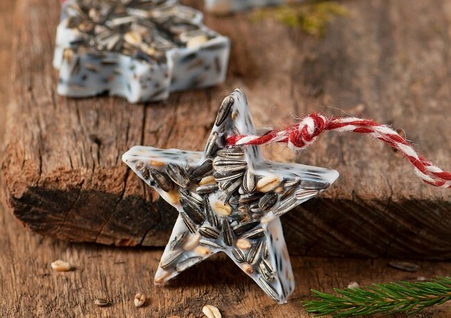 Learn to Make Your Own Bird Seed Feeder | Vitacost.com/blog