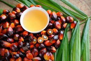 Arrangement of Palm Oil, Seeds and Leaves to Represent Question is Palm Oil Bad for the Environment | Vitacost.com/blog