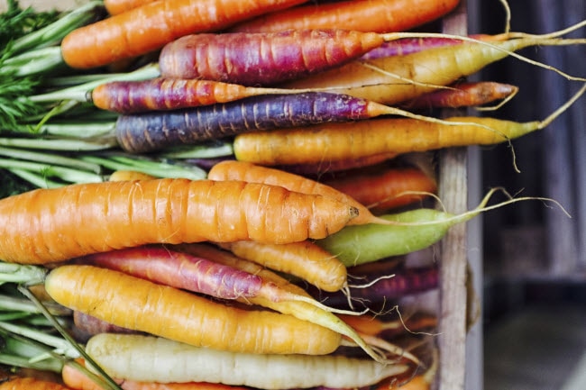 5 Urban Farming Benefits What is Urban Farming Demonstrated by Crate of Colorful Carrots Grown in a Community Garden | Vitacost Blog