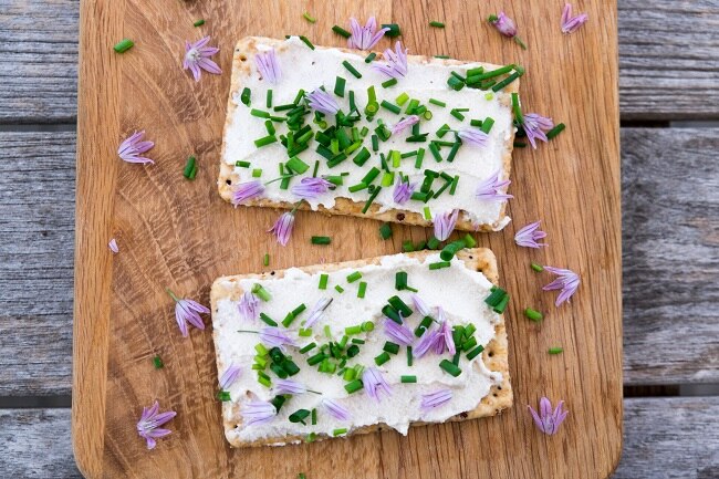 Homemade Vegan Cream Cheese Spread on Crackers with a Sprinkle of Herbs | Vitacost.com/blog