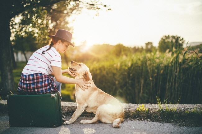 Woman Sitting on Suitcase Petting Dog During Summer Travel to Countryside | Vitacost.com/blog