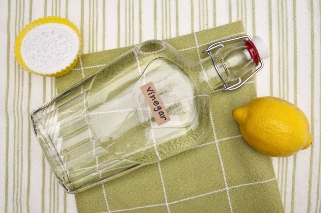 DIY Natural Ant Repellent Made With Vinegar and Lemon Displayed on Olive Green and White Striped Towels | Vitacost.com/blog