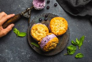 Homemade Macadamia Nut & Blueberry Ice cream Sandwiches | Vitacost.com/Blog