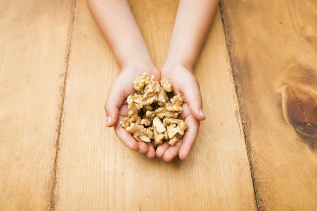 Child's Hands Holding Walnuts Which are a Good Source of Omega 3 Essential Fatty Acids | Vitacost Blog