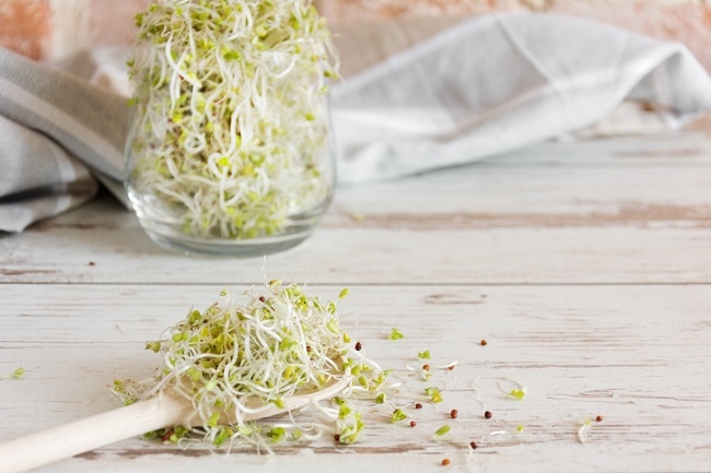 Homemade Sprouts in Jar | Vitacost.com/Blog
