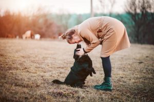 Woman Following Tips on How to Avoid Burnout Playing With her Dog in the Park on a Cloudy Day | Vitacost.com/blog