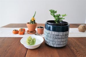 Homegrown Celery on Kitchen Table | Vitacost.com/Blog