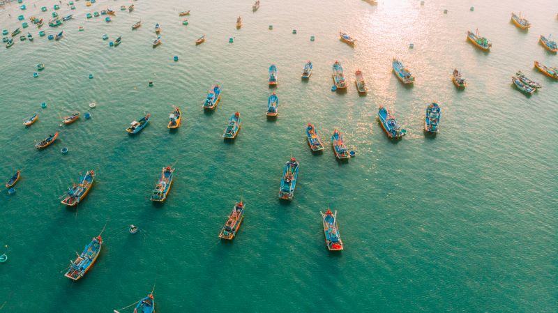 Group of boats gathered together for sustainable fishing