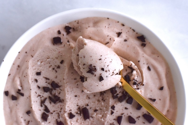Homemade Vegan Peppermint Chip Ice Cream Recipe | Vitacost.com/Blog