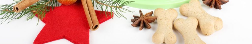 homemade dog biscuits for holiday gift