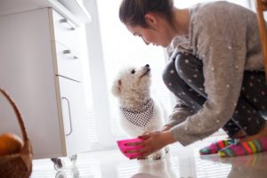 Woman Who Learned What to Feed Dogs Crouching Down with Kibble in Pink Bowl for Fluffy White Dog Wearing a Checkered Bandana | Vitacost.com/blog