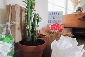 Indoor Cactus Houseplant Decorated with Christmas Ornaments to Reduce Waste | Vitacost.com/Blog