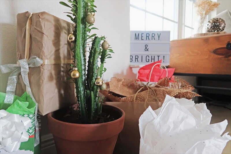 Zero-Waste Movement 8 Ways to Reduce Holiday Waste  Indoor Cactus Houseplant Decorated with Christmas Ornaments to Reduce Waste | Vitacost.com/Blog