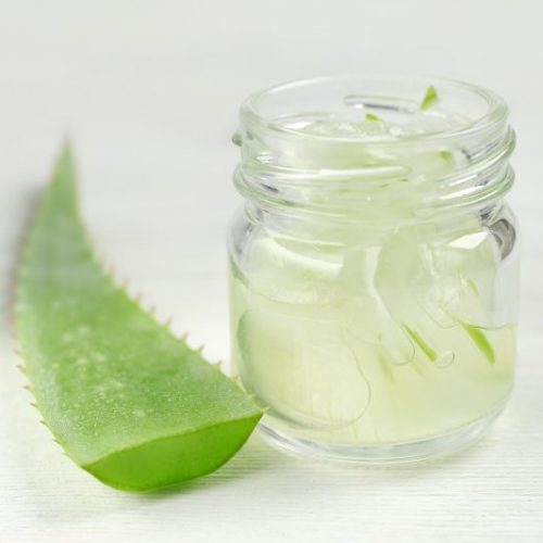 Jar of Hand Sanitizer to Aloe Vera Leaf | Vitacost Blog