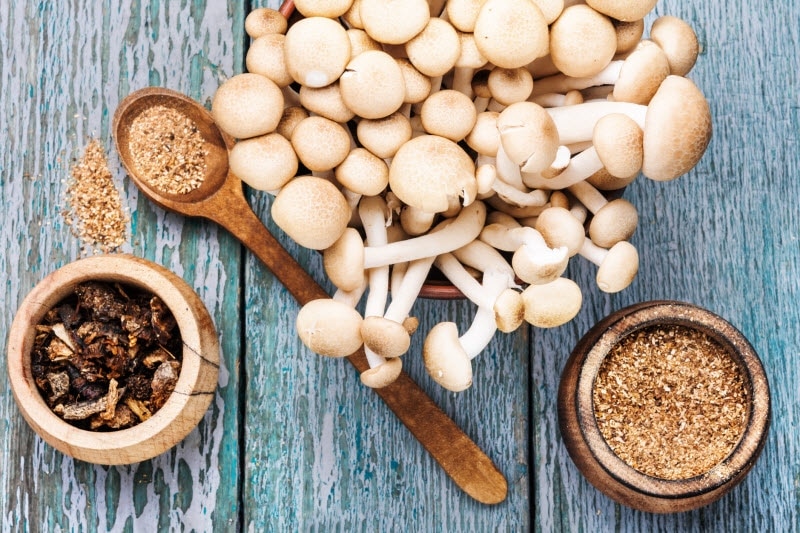 Mushroom Benefits for Skin Represented by Cluster of Mushrooms and Powders with Wooden Spoon on Blue Wood Surface | Vitacost.com/blog