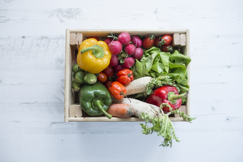 Overhead View of Produce Subscription Box Packed with Colorful Vegetables on White Surface | Vitacost.com/blog