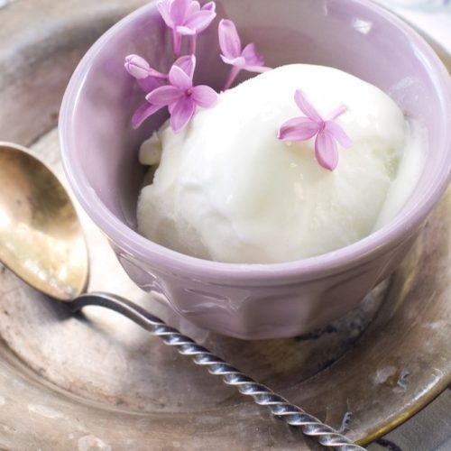 Sorbet in Purple Serving Dish Garnished with Flowers | Vitacost Blog