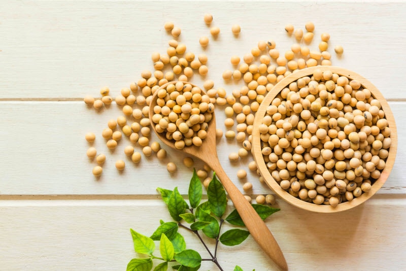 Wooden Bowl and Spoon Filled with Soy Beans to Represent Benefits of Plant Based Protein | Vitacost.com/blog