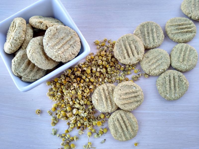 Top View Dog Biscuits on White Wood | Vitacost Blog