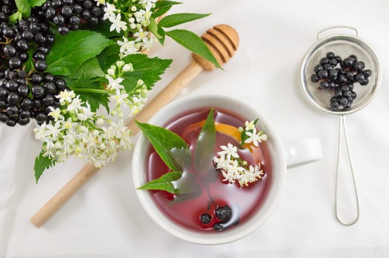 How to Brew Elderberry Tea for Immune Support