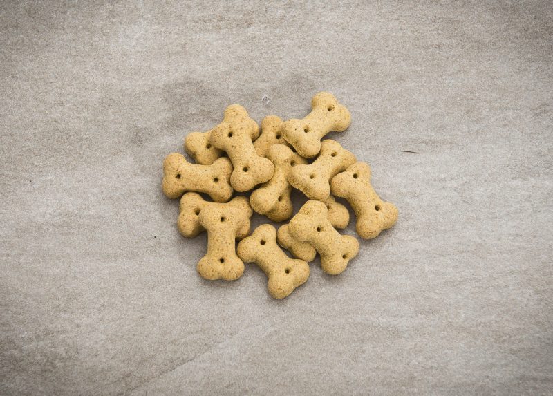 DIY Calming Dog Treats Pile of Bone-Shaped Dog Treats on Gray Background | Vitacost Blog