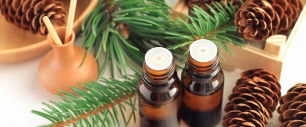 Pine Cones and Pine Surrounding Bottles of Essential Oil | Vitacost Blog