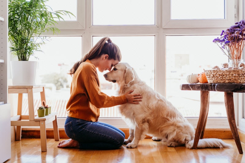 Woman Caring for Dog Heart Health Hugging Her Golden Retriever in Living Room | Vitacost.com/blog
