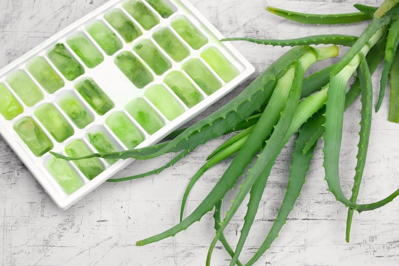 Freezing Aloe Vera for Skin Care Homemade Aloe-Infused Ice Cubes in Ice Cube Mold | Vitacost.com/Blog